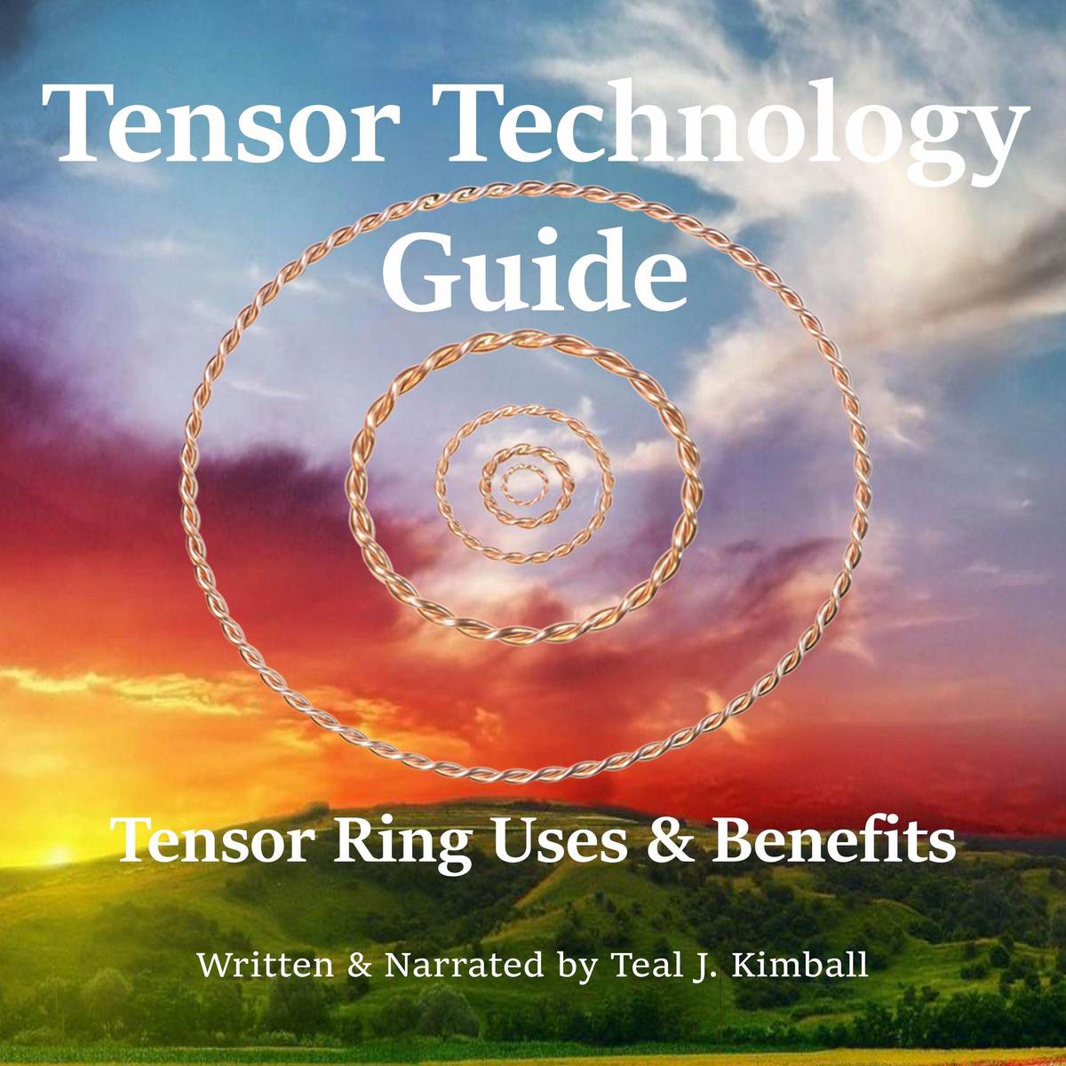 Omslag van Tensor Technology Guide