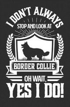 I Don't Always Stop and Look At Border Collie OH Wait, Yes I Do!