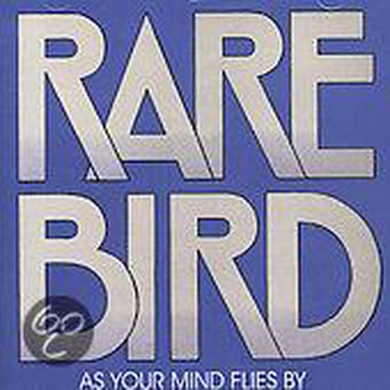 As Your Mind Flies By