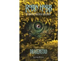Omslag van De kronieken van de wilde regenland 3 - Drakenstad
