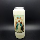 20 stuks Noveenkaars Heilige Maria