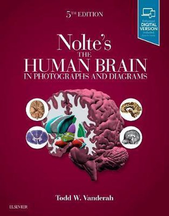 Nolte's The Human Brain in Photographs and Diagrams - cover