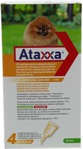 Ataxxa Anti vlooienmiddel 40/200 - 1.5 tot 4 kg - 4 pipetten