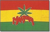 Vlag Marihuana 90 x 150 cm
