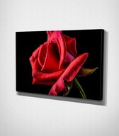 Red Flower Canvas - 30 x 40 cm - Bloemen - Schilderij - Canvas - Slaapkamer - Wanddecoratie  - Slaapkamer - Foto op canvas