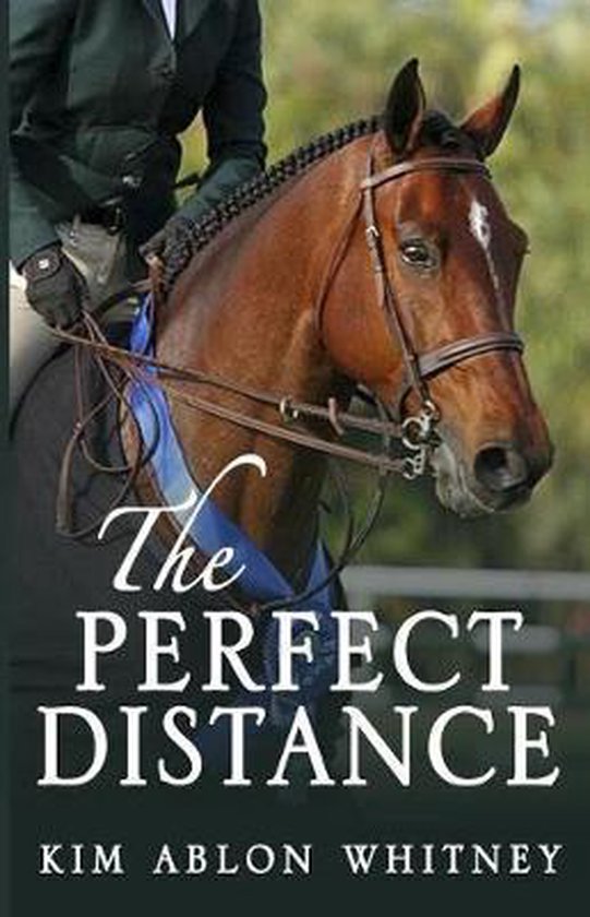 The Perfect Distance - cover