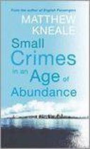 Small Crimes in an Age of Abundance