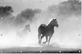 Paarden | Zwart-wit | Dieren | Tuindoek | Tuindecoratie | 150CM x 100CM | Tuinposter