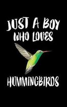 Just A Boy Who Loves Humingbirds