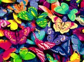 Peinture par numéro Papillons - 40 x 50 centimètres