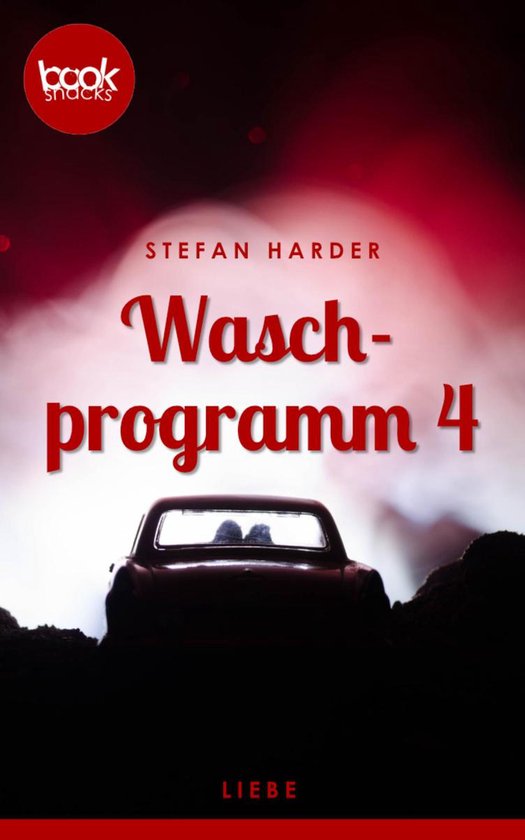 Omslag van Waschprogramm 4 (Kurzgeschichte, Liebesroman)
