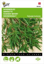 Buzzy zaden - Bonenkruid eenjarig - Satureja hortensis