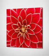 Red Flower Canvas- 30 x 30 cm - Bloemen - Schilderij - Canvas - Slaapkamer - Wanddecoratie  - Slaapkamer - Foto op canvas