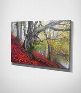 Red Forest Canvas - 60 x 40 cm