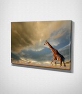Giraffe Sky Background Canvas | 30x40 cm