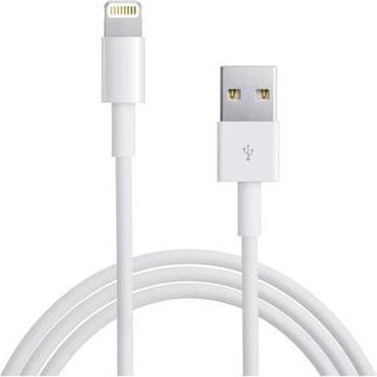 Omgaan met ik ben verdwaald Kaal Apple iPad Air 2 lightning kabel Origineel | bol.com