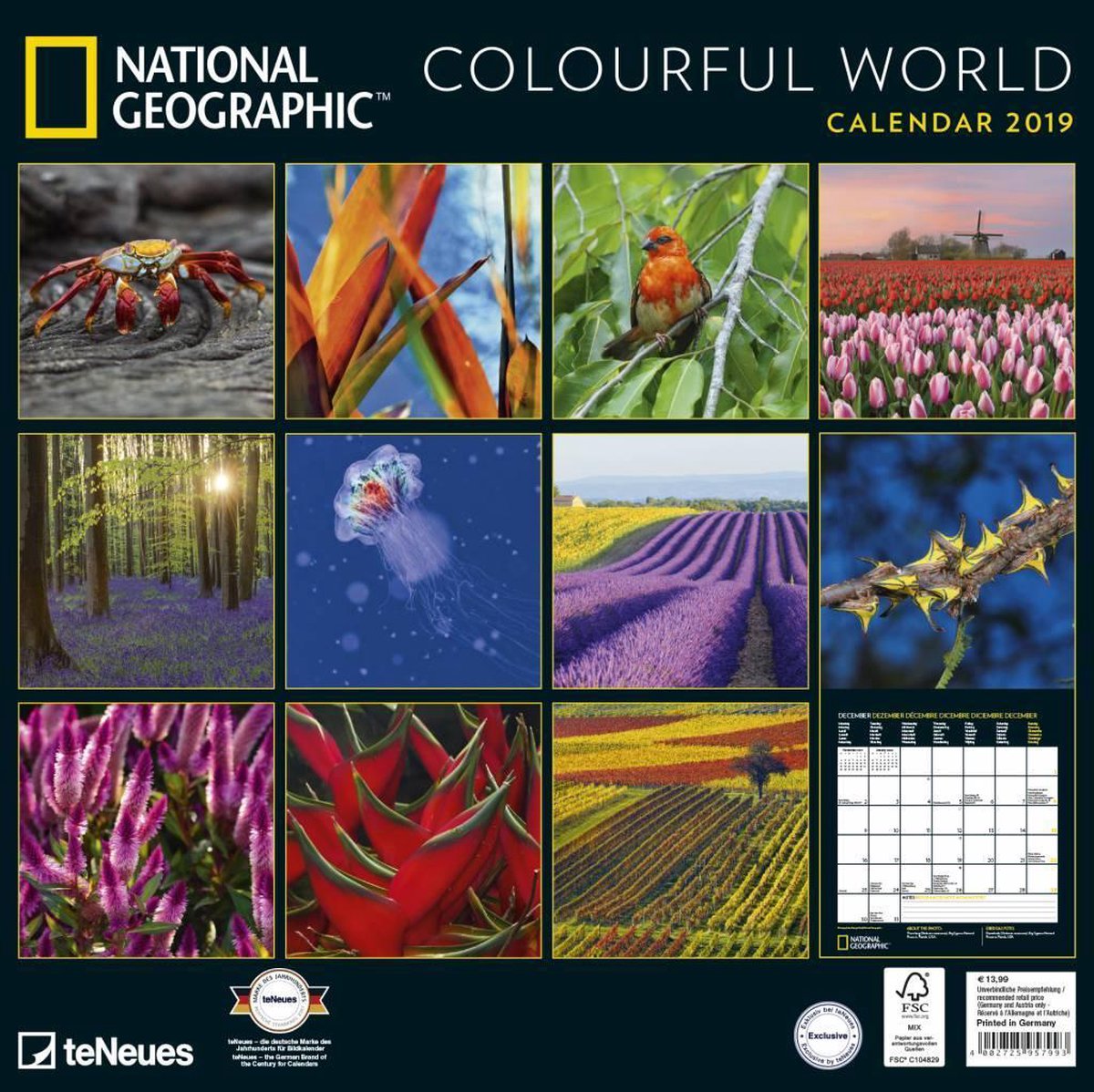 National Geographic Colourful World 2019 Broschürenk.