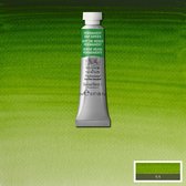 W&N Professional Aquarelverf 5ml | Permanent Sap Green