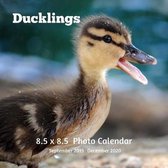 Ducklings 8.5 X 8.5 Calendar September 2019 -December 2020