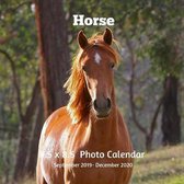 Horses 8.5 X 8.5 Calendar September 2019 -December 2020