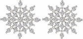 Fako Bijoux® - Oorbellen - Sneeuwvlok - Kristal