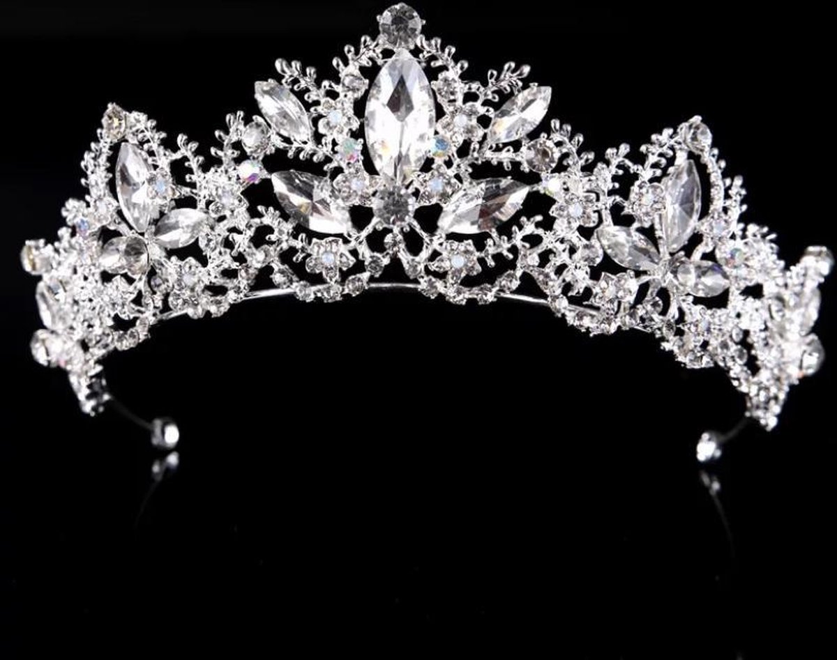 Overweldigen kapok Luidspreker Tiara kroontje prinses, gala, bruid, queen | bol.com