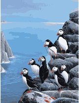 Schilderen Op Nummer - Pinguins Op Rots - Verven Op Nummer - 40x50cm - DIY Pakket - Hobbypakket - Paint By Numbers Nederland - Kinderen - Volwassenen - Nummer Schilderen - Nummer Verven - Verf Op Nummer