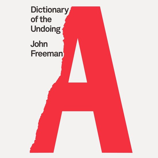 Dictionary of the Undoing - cover