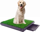Toilette pour chien Maoo Premium - Herbe artificielle résistante aux odeurs et adaptée aux chiens - Plateau de collecte amovible - Intérieur et extérieur - 63 x 50 cm