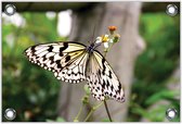 Tuinposter –Witte Vlinder– 60x40 Foto op Tuinposter (wanddecoratie voor buiten en binnen)