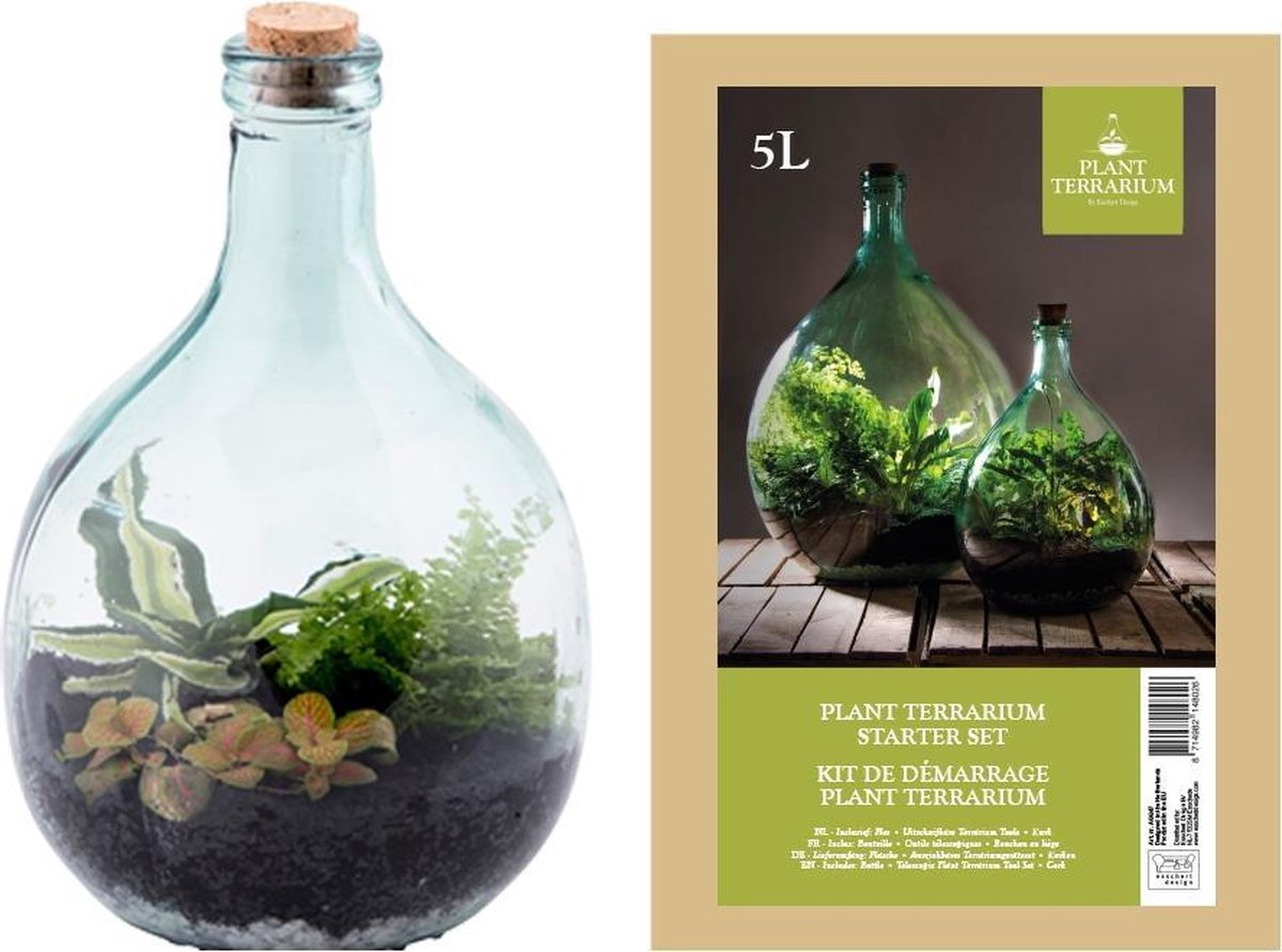 Overblijvend adopteren Dressoir Esschert Design Plant Terrarium Starter set - Terrarium - 5 Liter | bol.com