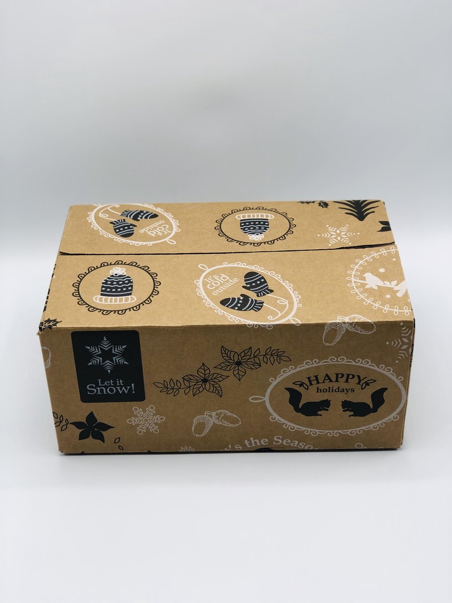 10x kerst verpakkingsdozen - Verpakkingen - Kerstpakketten - 310x200x140 mm