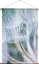 Paardenbloem | Planten | Textieldoek | Textielposter | Wanddecoratie | 120CM x 180CM” | Schilderij