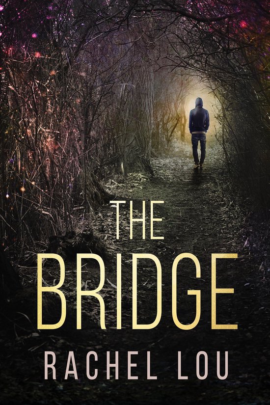 Omslag van The Bridge