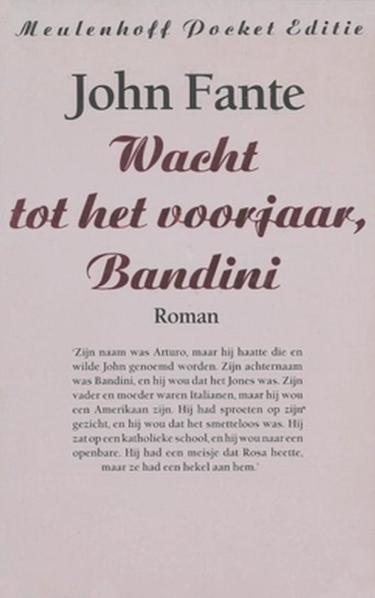 9789029028493 - Wacht tot het voorjaar, Bandini