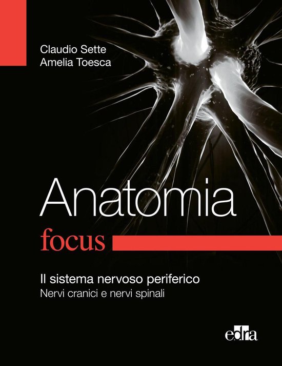 Anatomia Focus - cover