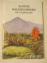 Alpine Wildflowers of Tasmania