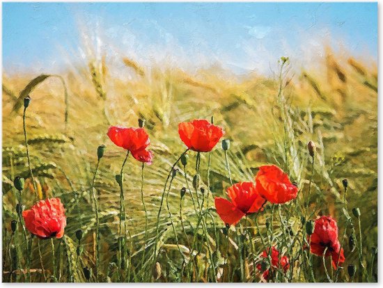 Poppies and Marram Grass - Peinture sur toile