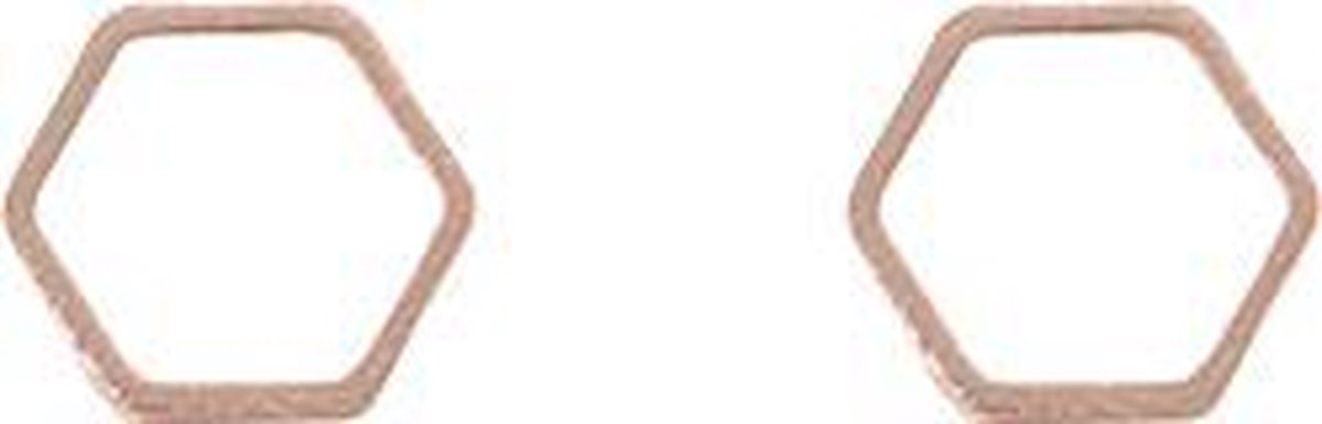 24/7 Jewelry Collection Zeshoek Oorbellen - Hexagoon - Open - Oorknopjes - Geborsteld - Minimalistisch - Rosé Goudkleurig