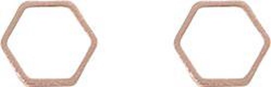 24/7 Jewelry Collection Zeshoek Oorbellen - Hexagoon - Open - Oorknopjes - Geborsteld - Minimalistisch - Rosé Goudkleurig