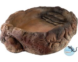 CeramicNature Terrarium bowl natuurgetrouw | waterbak voor reptielen en amfibieën in diverse maten TP-06S: 29,5×22,5x7cm