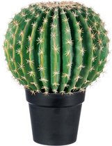 J-Line kunstplant cactus 46 x 36 x 36