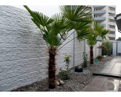 Intergard Beton schutting Fencestone enkelzijdig 200x193cm