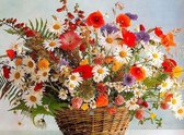 Schilderen op nummer Volwassenen - Mand met kleurrijke bloemen - 40 x 50 centimeter
