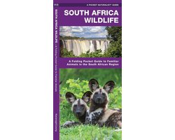 South Africa Wildlife