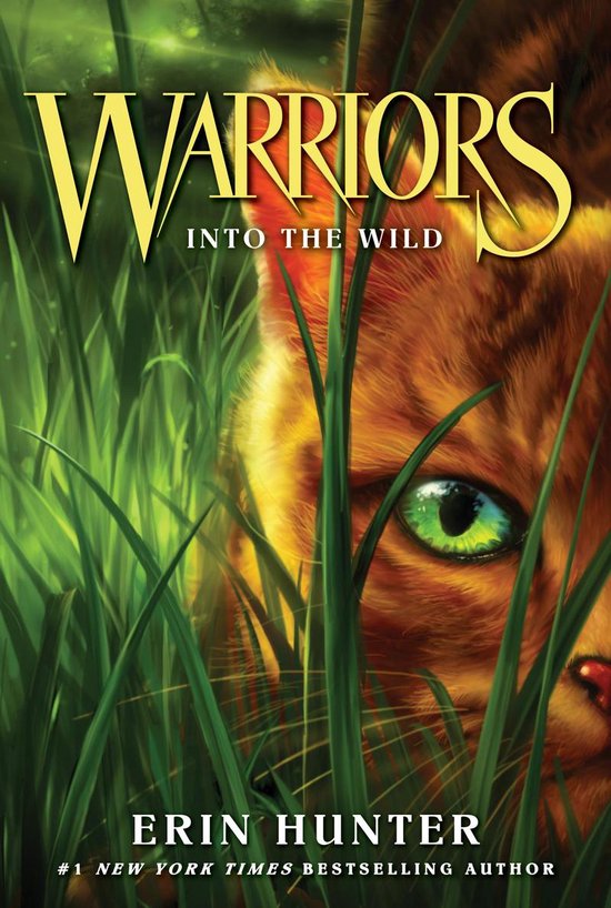 Warriors 1 Into the Wild (ebook), Erin Hunter