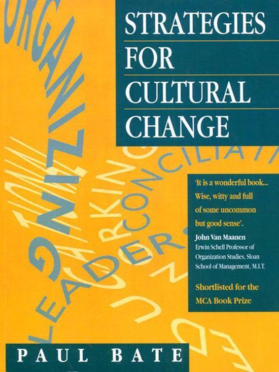 Strategies for Cultural Change - cover