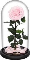 La Rose Single Sakura Pink | Long Life Roos in glazenstolp | Verjaardag | Cadeau | Liefde | Woonaccessoires & decoratie
