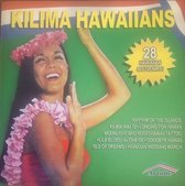 28 Hawaiian Souvenirs