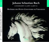 Maitrise Des Petits Chanteurs De Ve - Cantates Bwv 12, 51, 131 (CD)